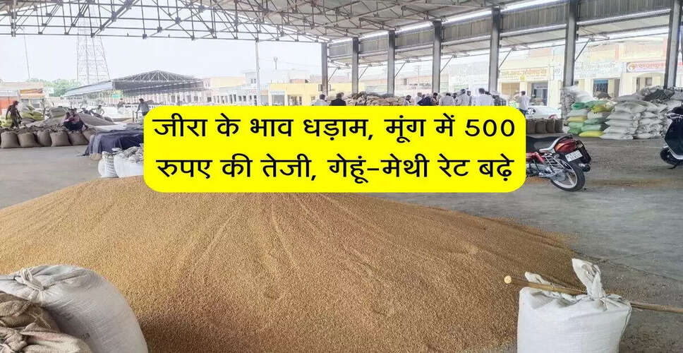 बीकानेर मंडी में फसलों के भाव में उतार-चढ़ाव