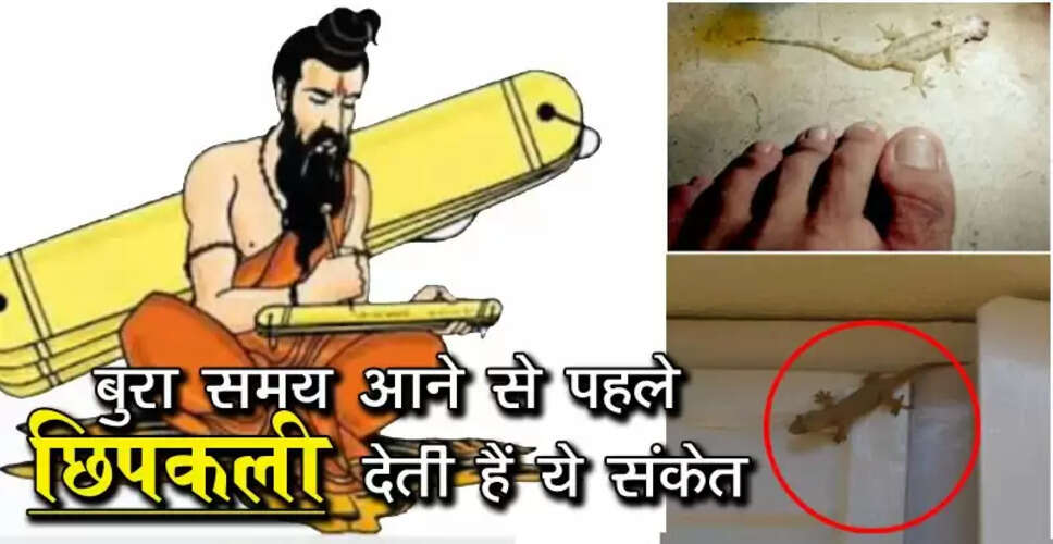 छिपकली के संकेत: बुरे समय की चेतावनी