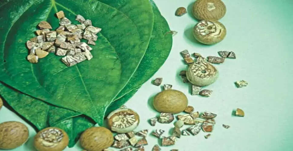 सुपारी के अद्भुत स्वास्थ्य लाभ: जानें कैसे यह आपकी सेहत को सुधार सकती है