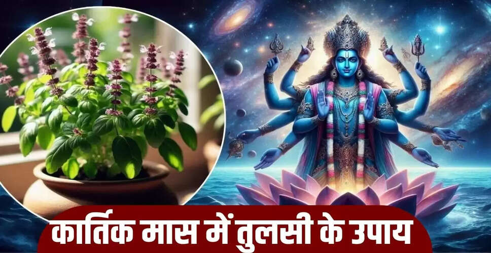 कार्तिक मास 2025: तुलसी के उपायों से प्राप्त करें धन और समृद्धि