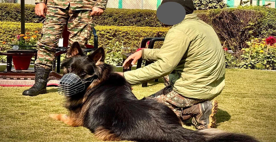 किश्तवाड़ में ऑपरेशन त्राशी-1: टॉयसन की बहादुरी से मिली आतंकवाद विरोधी सफलता