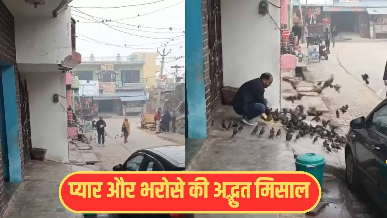 पक्षियों के प्रति दयालुता का अनोखा उदाहरण, वायरल हुआ वीडियो