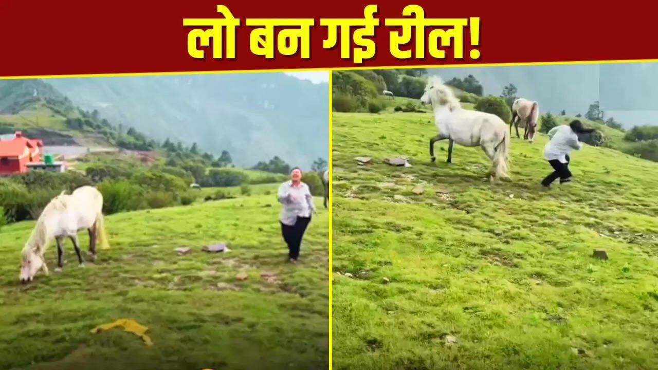 महिला का घोड़े के पास डांस करना पड़ा महंगा, वायरल हुआ वीडियो