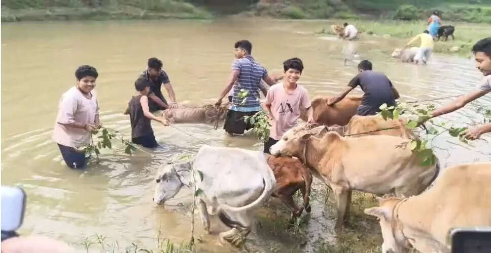 गोरू बिहू: असम में उत्सव की धूम