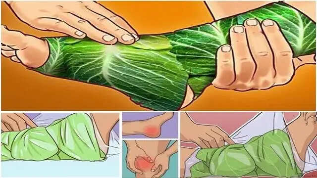 पत्तागोभी के पत्तों से जोड़ों के दर्द में राहत: जानें कैसे करें उपयोग