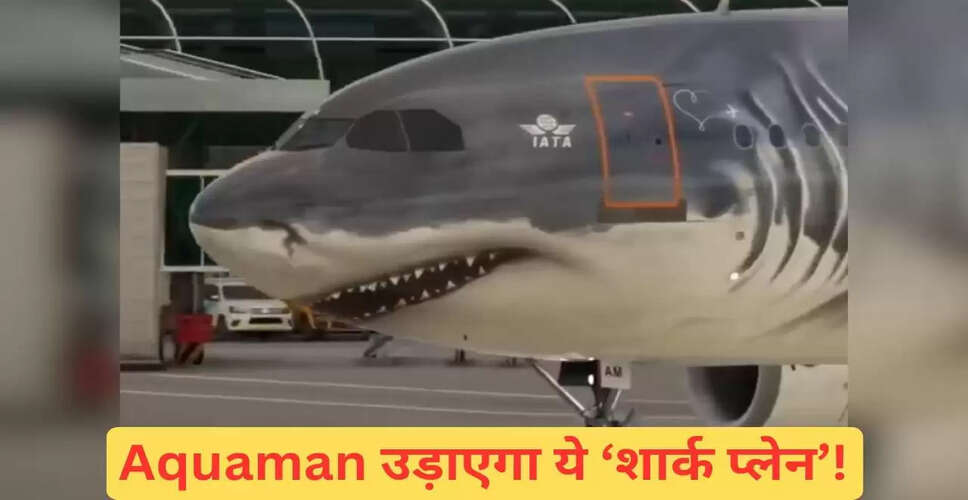 अजीबोगरीब प्लेन का लुक वायरल, सोशल मीडिया पर मचाया धमाल