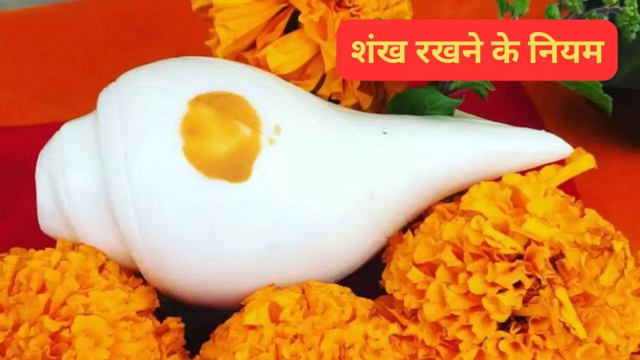 घर में शंख रखने के लिए महत्वपूर्ण नियम और सावधानियाँ