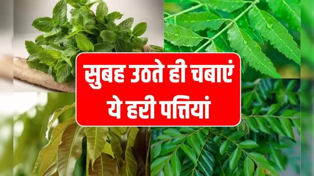 सुबह खाली पेट हरी पत्तियों के सेवन से सेहत में सुधार