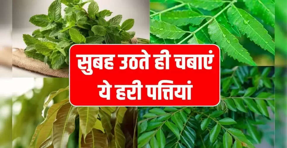 सुबह खाली पेट हरी पत्तियों के सेवन से सेहत में सुधार