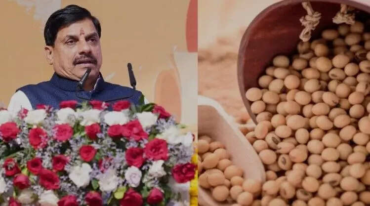 सोयाबीन उत्पादकों को मिलेगा 1,300 रुपए प्रति क्विंटल का लाभ