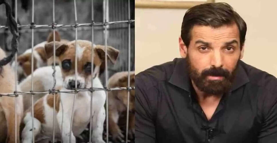 जॉन अब्राहम ने सुप्रीम कोर्ट के कुत्तों के आदेश पर सीजेआई को लिखा पत्र