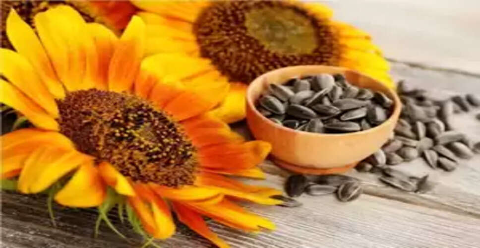 सेहत के लिए बेहद फायदेमंद हैं गुणों से भरपूर सनफ्लावर सीड्स