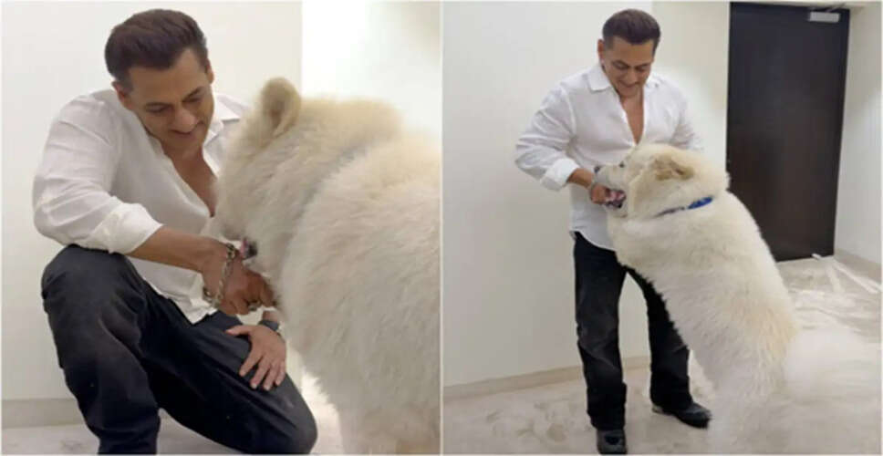 सलमान खान की नई फिल्म 'मातृभूमि' पर काम जारी, सोशल मीडिया पर साझा की तस्वीरें