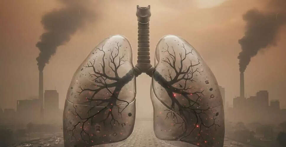 दिल्ली के प्रदूषण से फेफड़ों पर पड़ रहा है गंभीर असर, जानें सरकार का जवाब