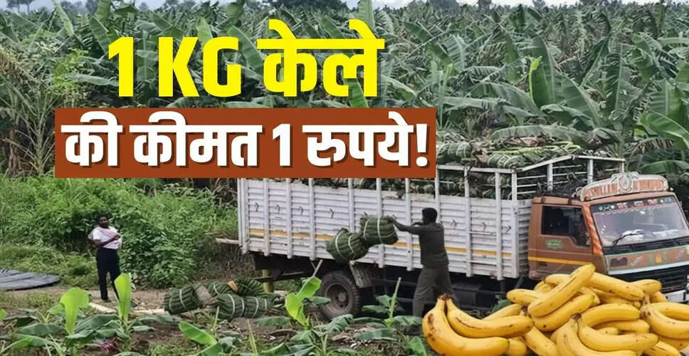 आंध्र प्रदेश के केले किसानों की दुर्दशा: कीमतें गिरने से फसल फेंकने को मजबूर