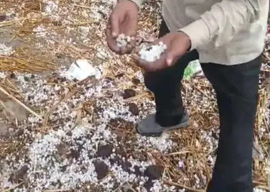 ओलावृष्टि से फसलों को नुकसान, मौसम में बदलाव जारी