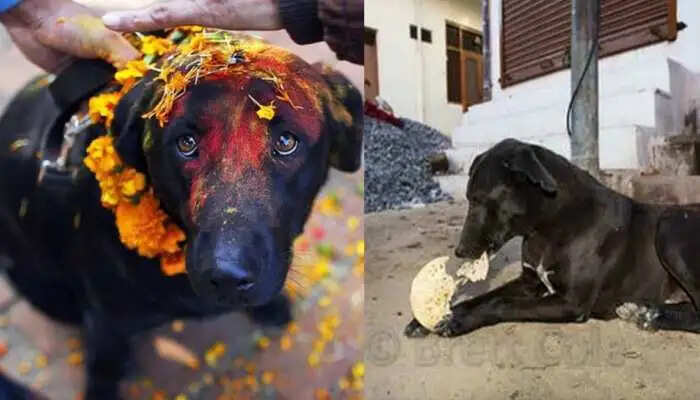 शनिदेव को प्रसन्न करने के प्रभावी उपाय