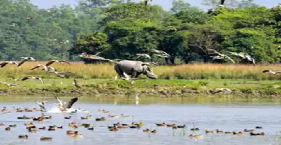 वन्यजीव सप्ताह : महात्मा गांधी के करुणा के संदेश से जुड़ा प्रकृति की रक्षा का संकल्प