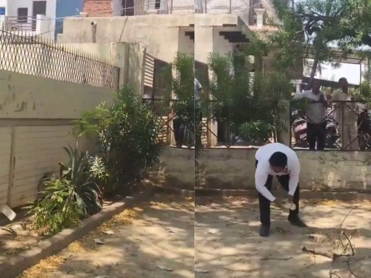 बुलंदशहर में बंदर ने वकील से ₹2 लाख का बैग छीना