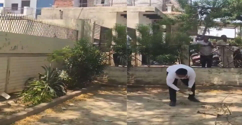 बुलंदशहर में बंदर ने वकील से ₹2 लाख का बैग छीना