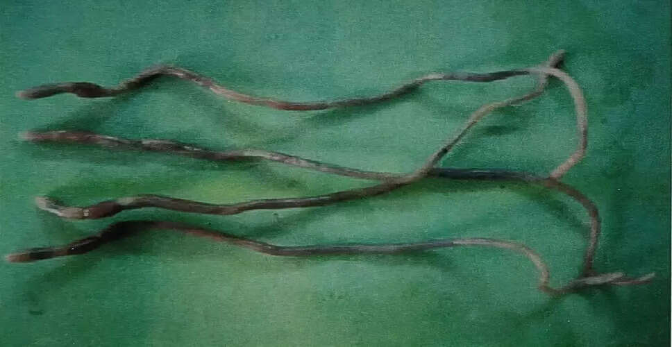 त्रिपुरा में नए पृथ्वी की कीड़ों की दो प्रजातियों की खोज