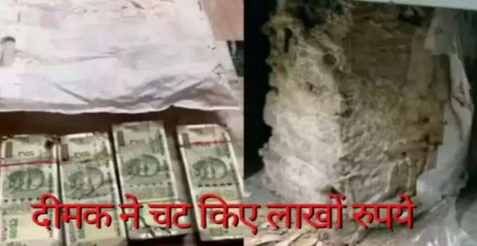 उदयपुर में बैंक लॉकर में दीमक ने खा डाले लाखों रुपये के नोट