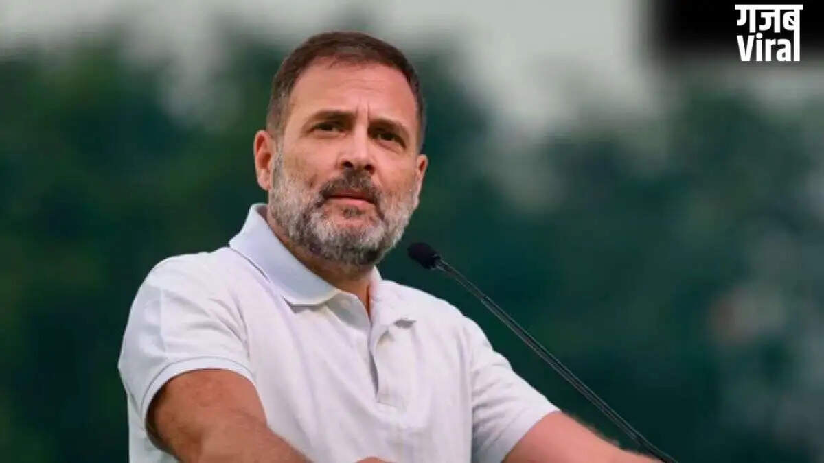 इलाहाबाद हाईकोर्ट से राहुल गांधी को मिली बड़ी राहत, याचिका खारिज