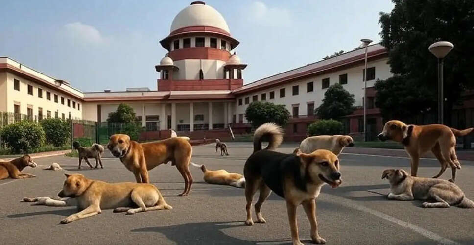 सुप्रीम कोर्ट में आवारा कुत्तों के मामले पर नई याचिका दायर