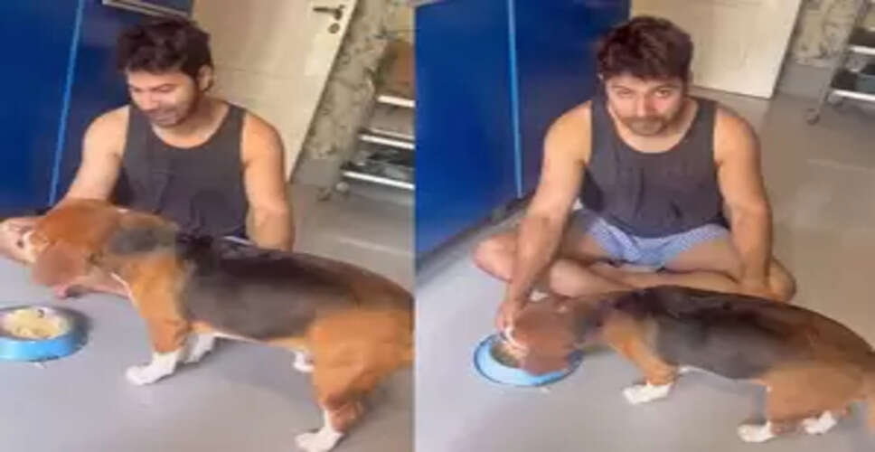 अपने पालतू डॉग जॉय पर प्यार बरसाते नजर आए बॉलीवुड स्टार वरुण धवन