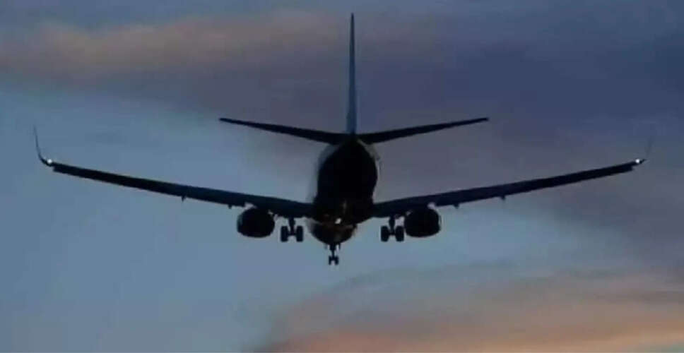 कैटालिना द्वीप पर छोटे विमान के दुर्घटनाग्रस्त होने से दो लोगों की मौत