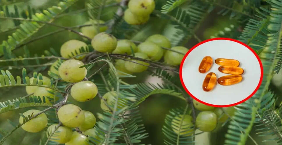 आंवला: प्राकृतिक विटामिन-सी का अमृतफल