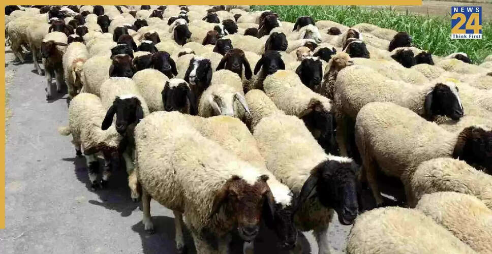 बेंगलुरु में भेड़ और चरवाहों का प्रदर्शन, विधाना सौधा की ओर मार्च