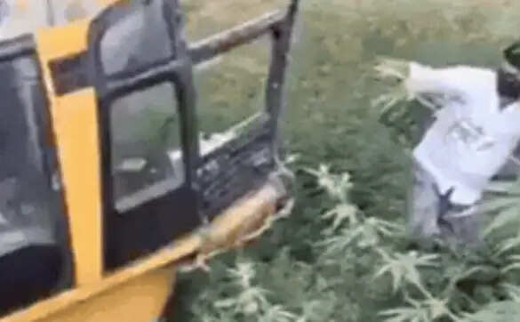 मेरठ में स्कूली बस का बड़ा हादसा, 50 बच्चे घायल