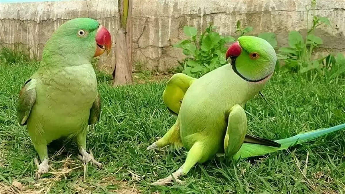 सपनों में धन और भाग्य के संकेत: जानें क्या कहते हैं ये सपने