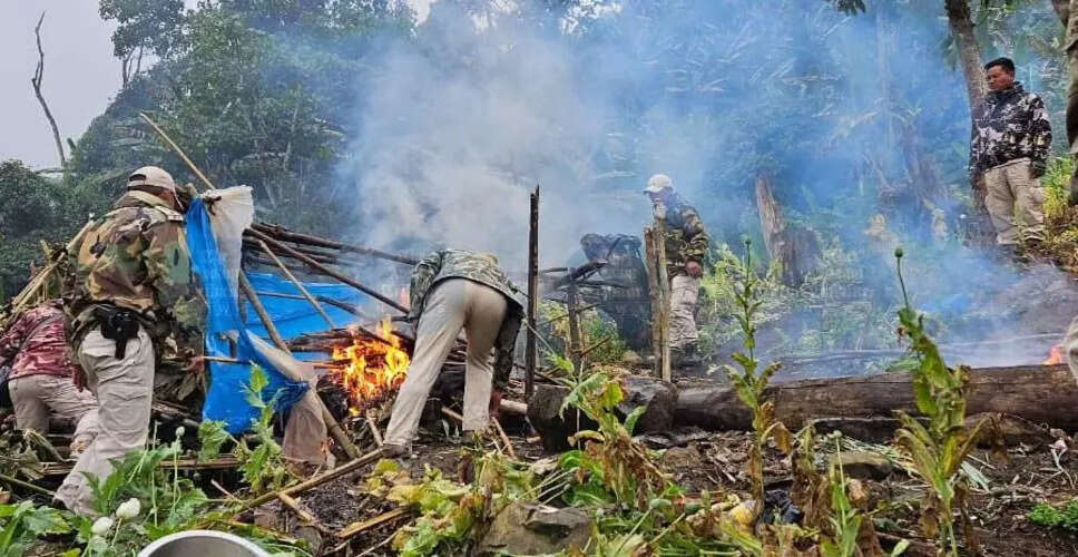 मणिपुर में नशे के खिलाफ बड़ी कार्रवाई: 306 एकड़ अवैध पोस्त की खेती नष्ट