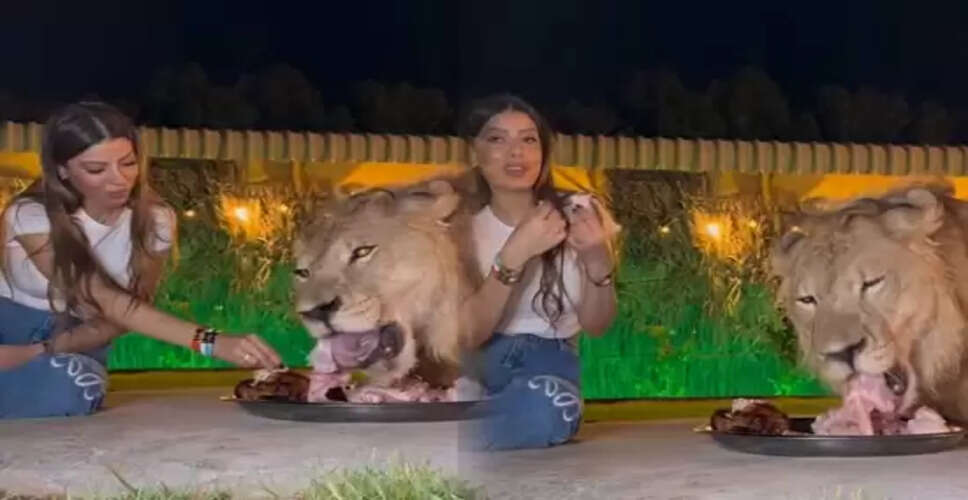 शेर के साथ लड़की का वायरल वीडियो, यूएई के वाइल्डलाइफ पार्क में हुआ शूट