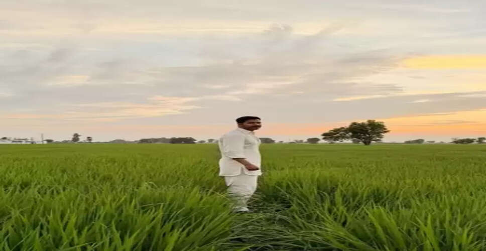 'बॉर्डर-2' की शूटिंग के बीच लहलहाते खेत में दिखे वरुण धवन, लिखा सिर्फ एक शब्द 'पंजाब'