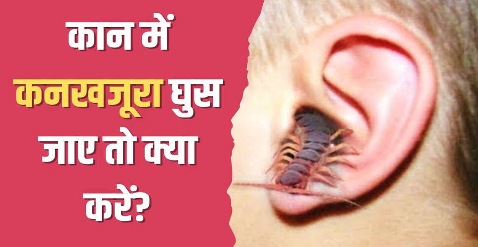 कान में कनखजूरा घुसने पर क्या करें: योग गुरु कैलाश बिश्नोई की सलाह
