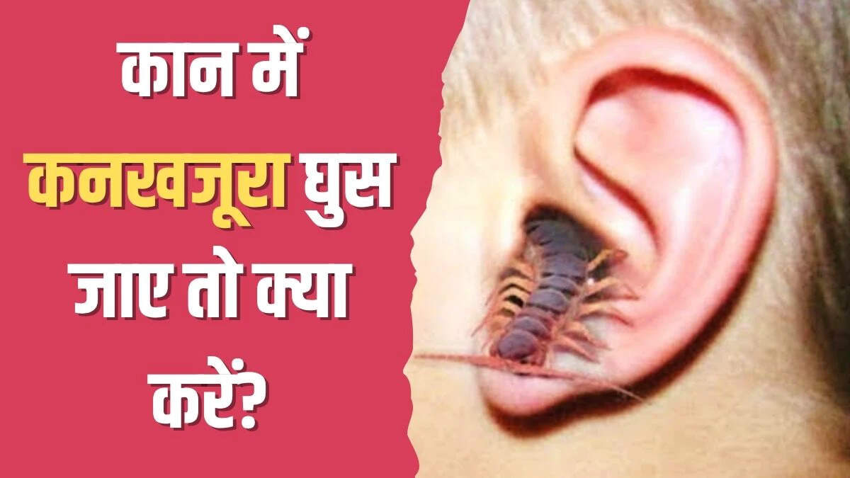 कान में कनखजूरा घुसने पर क्या करें: योग गुरु कैलाश बिश्नोई की सलाह