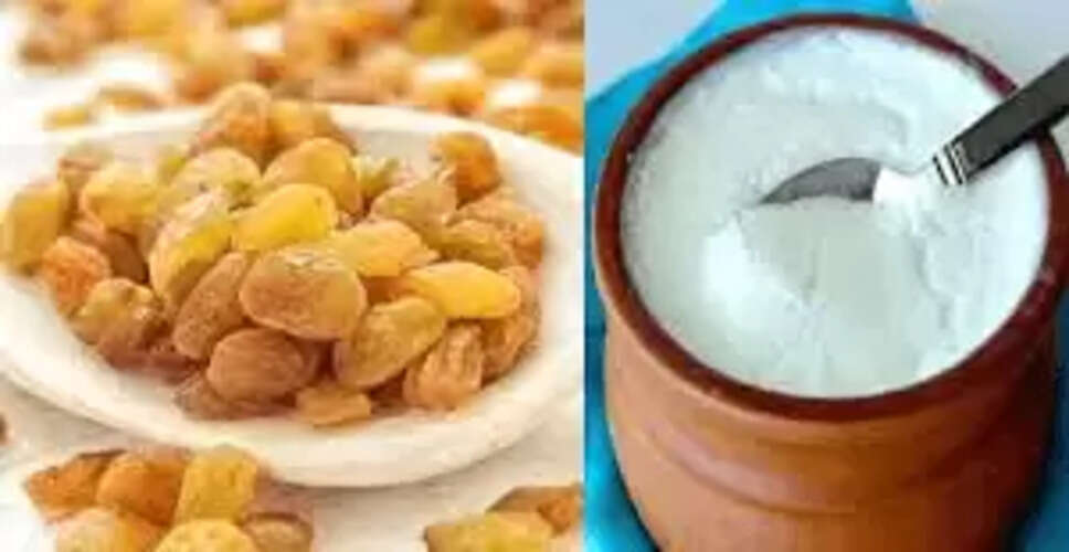 दही और किशमिश: स्वास्थ्य के लिए बेहतरीन स्नैक विकल्प