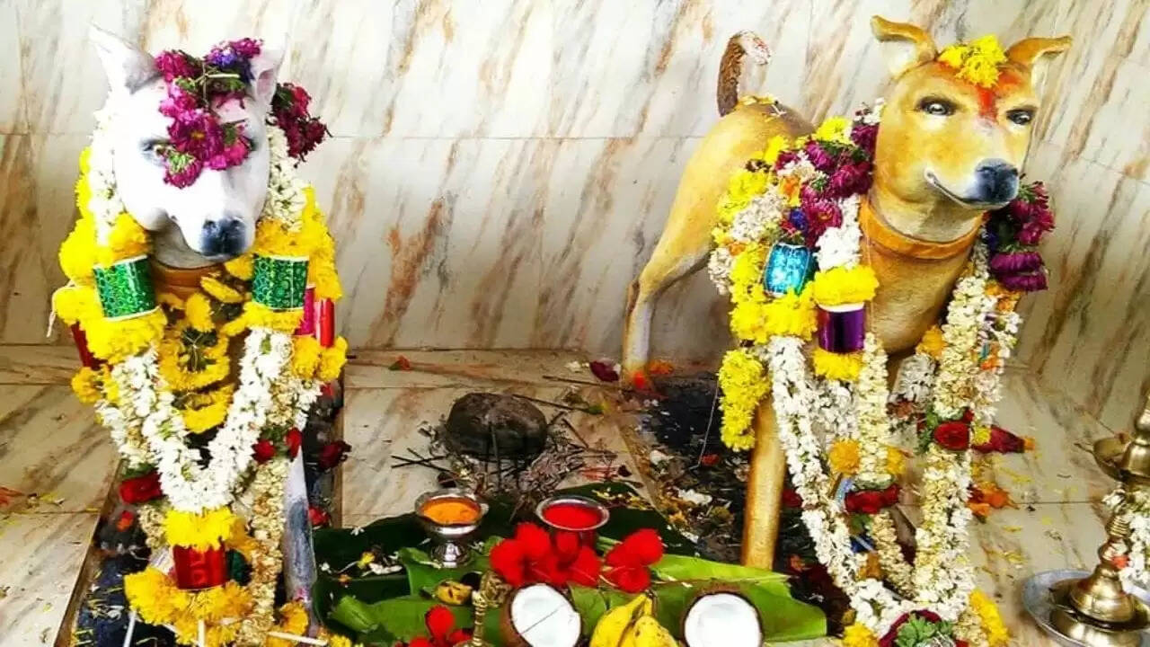 कर्नाटक में अनोखा कुत्तों का मंदिर: श्रद्धालुओं की मनोकामनाएं पूरी करता है