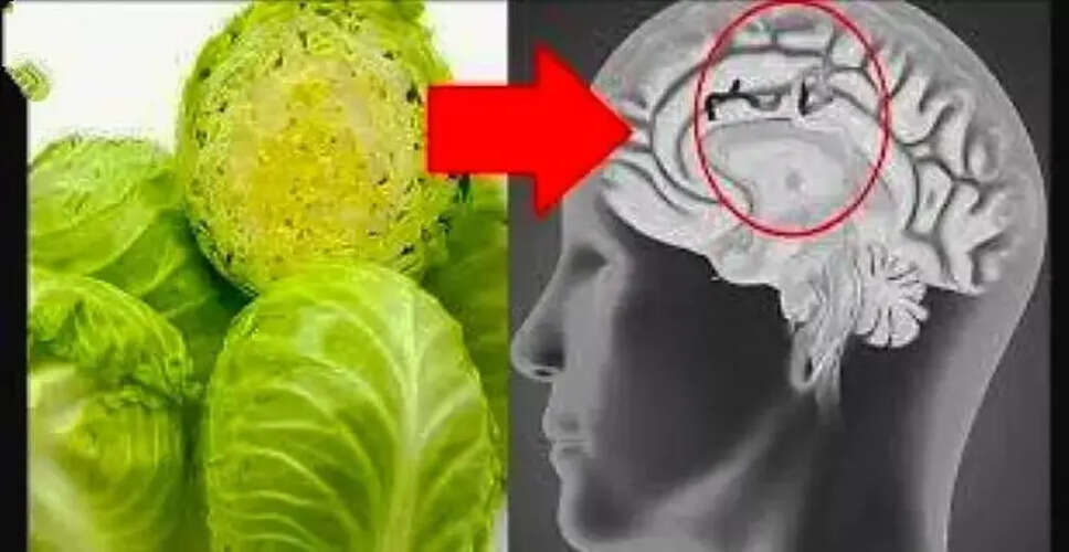 पत्तागोभी और टेपवर्म: जानें क्या है सच