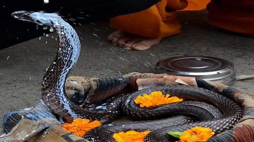 रोटी बनाने के लिए 5 अशुभ दिन: जानें क्यों इन अवसरों पर बनाना है मना