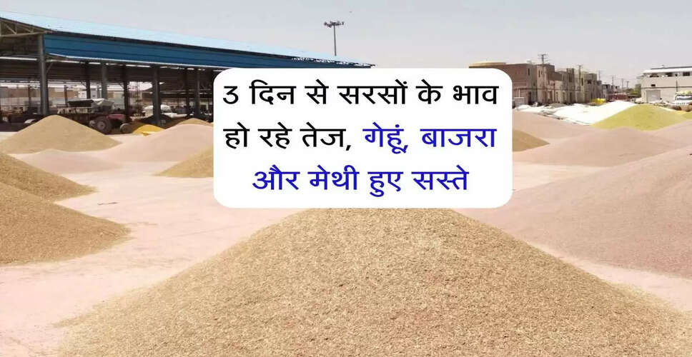 कोटा मंडी में फसलों के भाव में उतार-चढ़ाव, जानें ताजा दरें