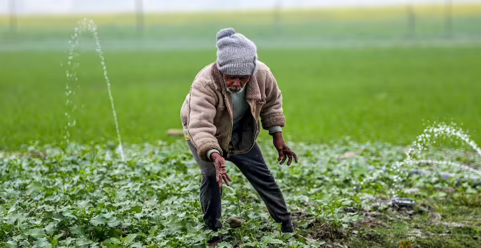 राजस्थान में ठंड का कहर: तापमान में गिरावट और किसानों के लिए फायदेमंद