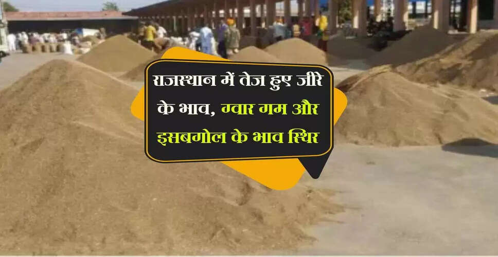 राजस्थान में जीरा के भाव में उछाल, अन्य फसलों में स्थिरता