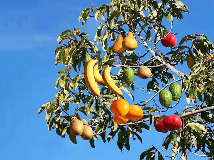 सपनों में धन और भाग्य के संकेत: जानें क्या कहते हैं ये सपने