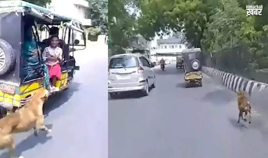 आगरा के कुत्ते की वफादारी का दिल छू लेने वाला किस्सा