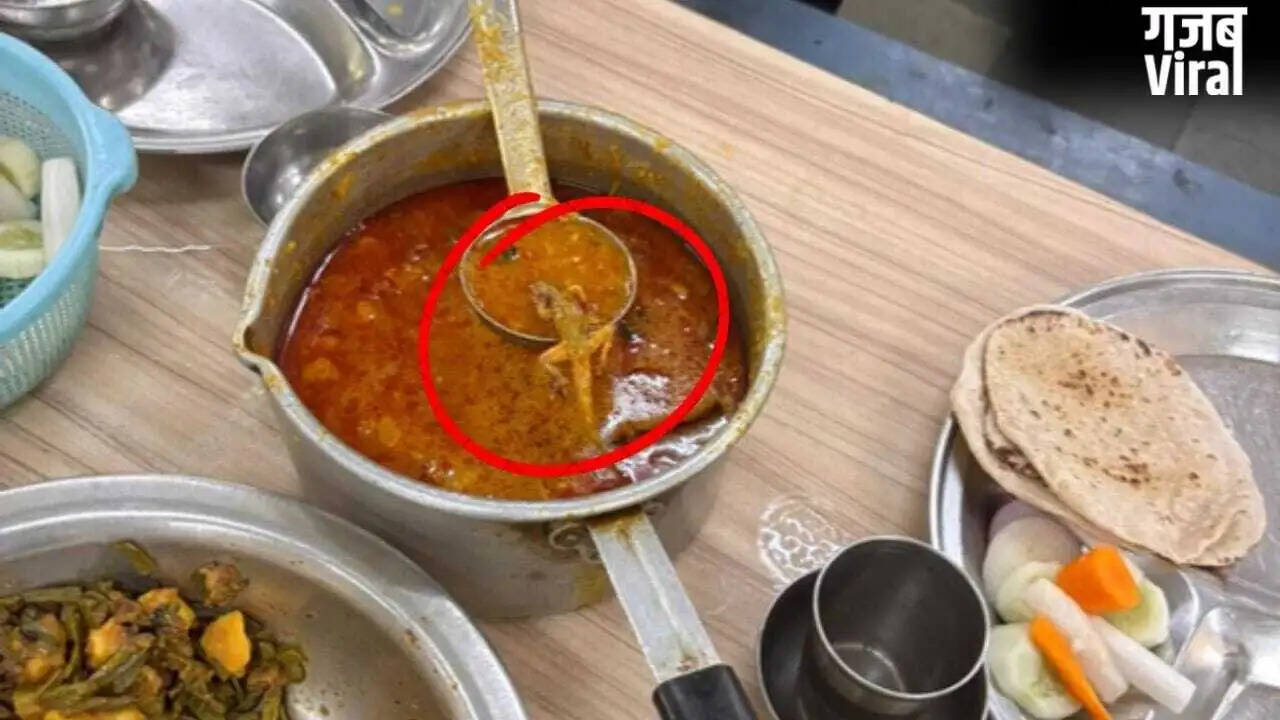 बीएचयू के डालमिया हॉस्टल में चिकन करी से निकली छिपकली, छात्रों का विरोध
