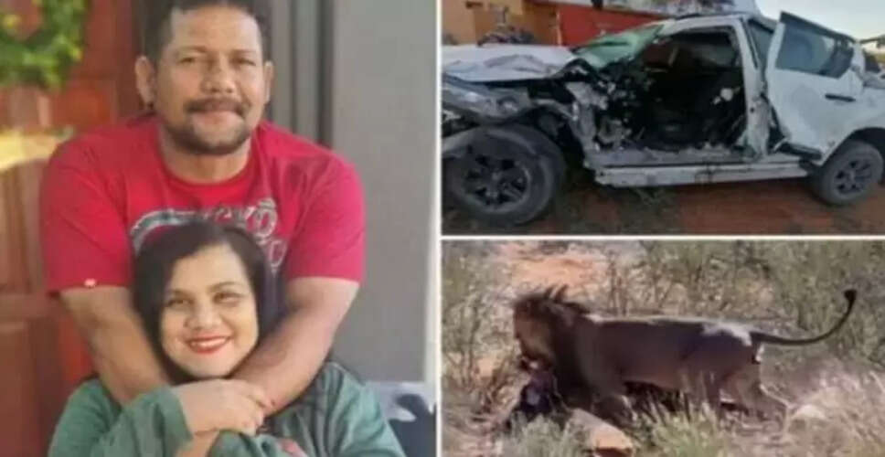 दुर्घटना के बाद शेरों के बीच फंसे दंपति की अद्भुत कहानी